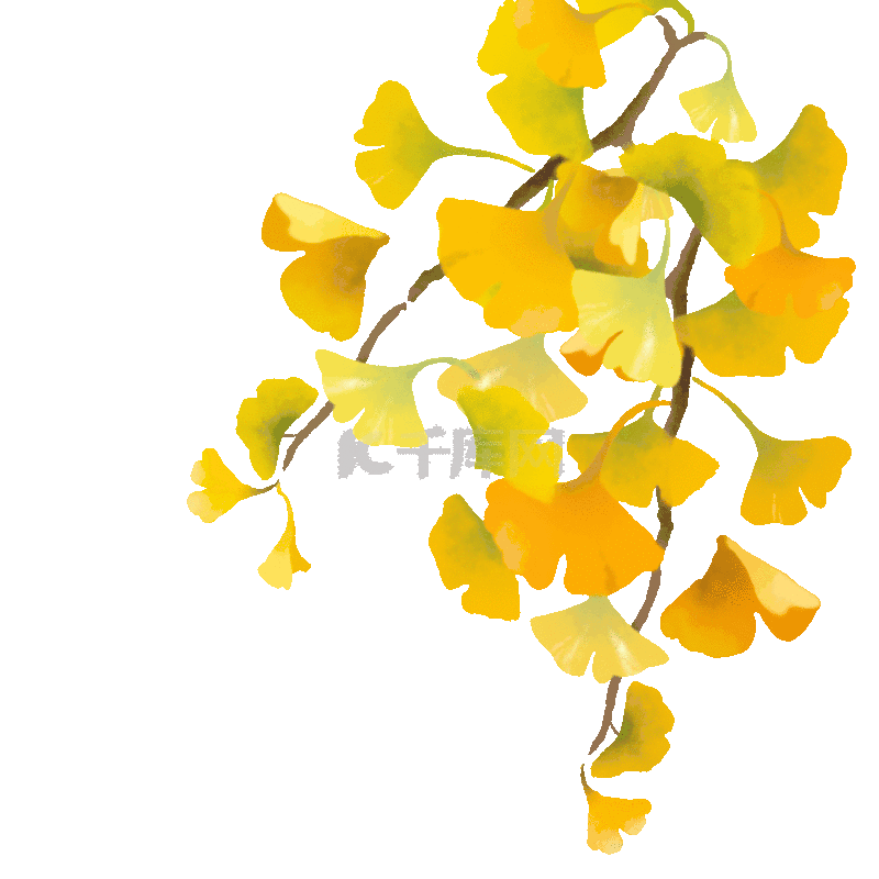3525603afd426deac52a83be4944dc4f_e6cd18e1d83c006e94b5c418c25b4d03.gif