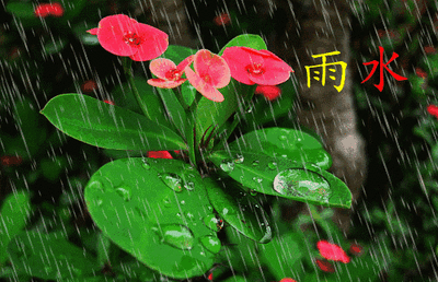 fa4a7cc71558d158c3098acb56deb409_t019e57f7f96cf11fb6.gif