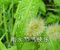 1fb8786cf70fed66f546a42990ad56e8_t0126784482f49083c8.gif