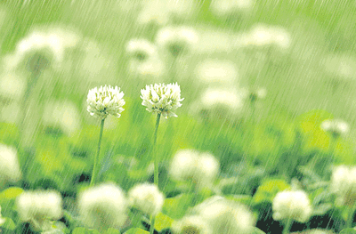 4a6c4252dbef9aebacae325973b04de7_t01906cc018070d3be3.gif