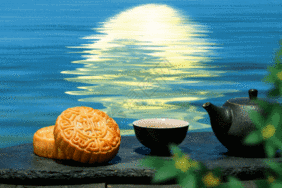 c4911218121cd7501ff7973ae17e738b_t01030a182328f0aebb.gif