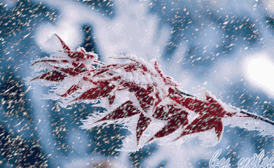 851041a65b802db0cfae4a7c1fce1d28_t01e76f2d9cd61f0332.gif