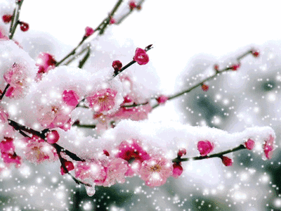 6a6a2c127dca1e12eb19d979bfd9eba5_t01b449a78e0f323cb9.gif