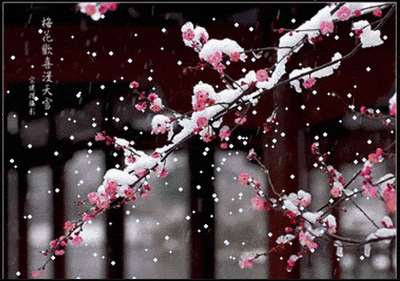 4e36307a3d39d89dc7a27f5dc7f2c42c_t018f0cab4e155f8648.gif