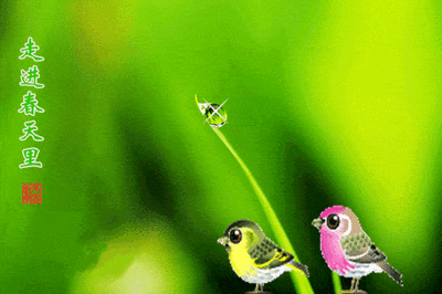 b10f2e9b6a53ecfed968ed425f3aec79_t0127a99080cb1b0b2b.gif